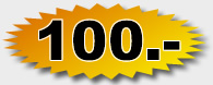 bis 10 Stichworte nur 100.- Euro
