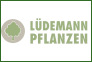 Ldemann Pflanzen GmbH