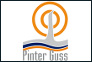 Pinter Guss GmbH